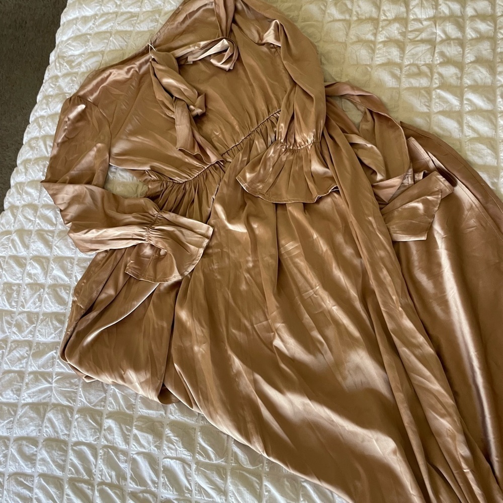 Baltic Born Holly Satin Dress in Champagne - Picture 9 of 9